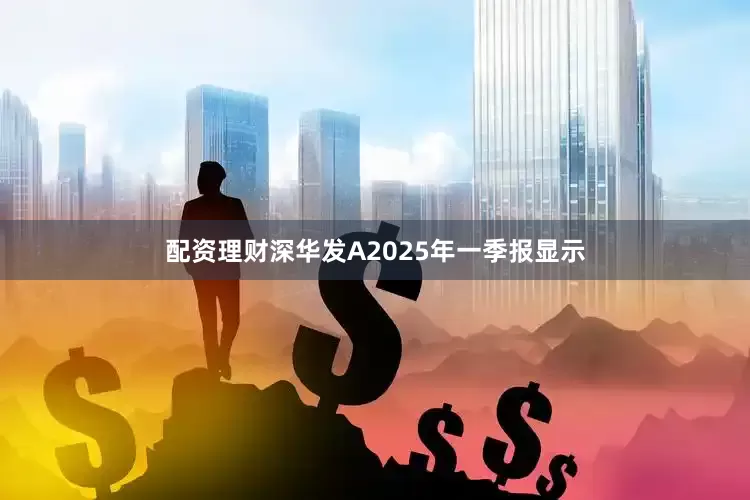 配资理财深华发A2025年一季报显示