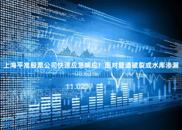 上海平准股票公司快速应急响应！面对管道破裂或水库渗漏
